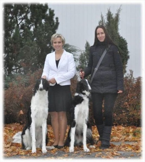 Obrázok27.jpg