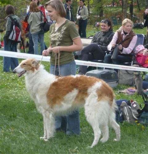 Obrázok 259.jpg