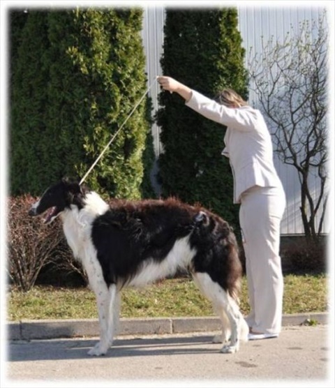 Obrázok20.jpg