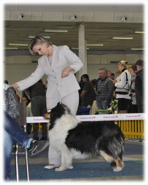Obrázok4.jpg