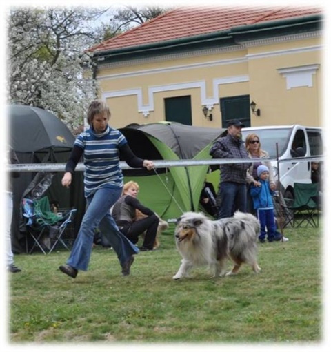 Obrázok27.jpg