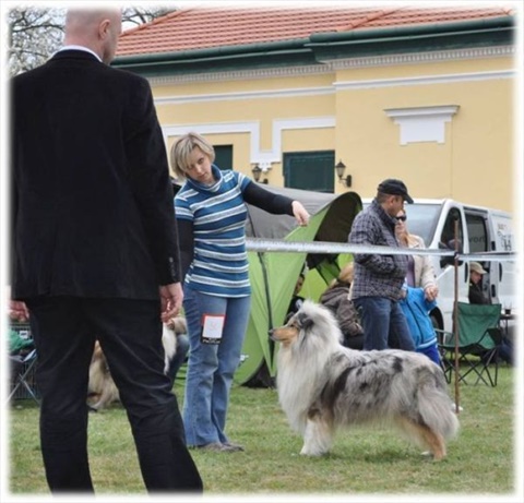Obrázok29.jpg