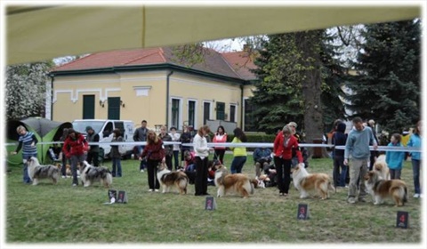 Obrázok31.jpg