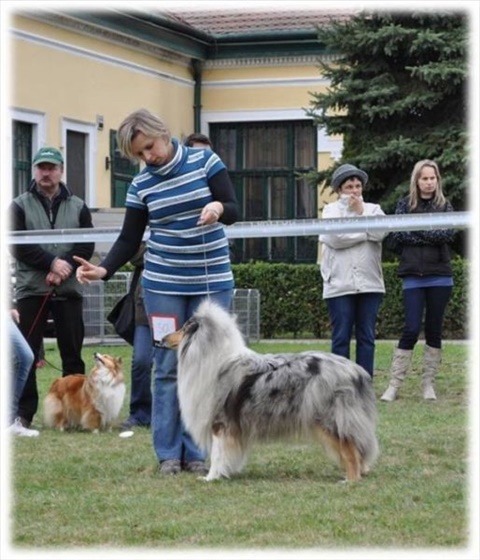 Obrázok35.jpg