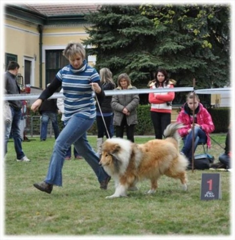 Obrázok37.jpg