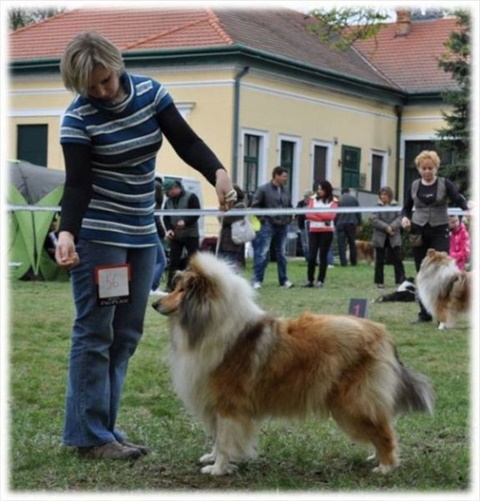 Obrázok39.jpg