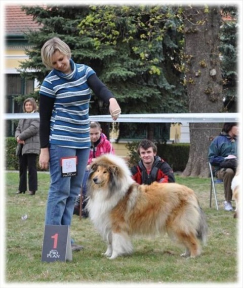 Obrázok40.jpg