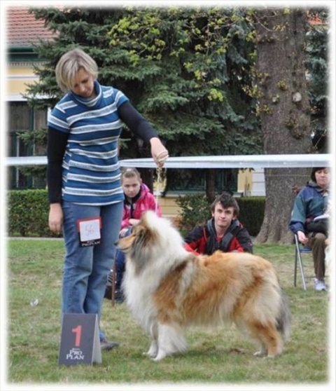 Obrázok41.jpg