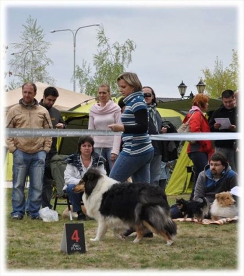 Obrázok9.jpg