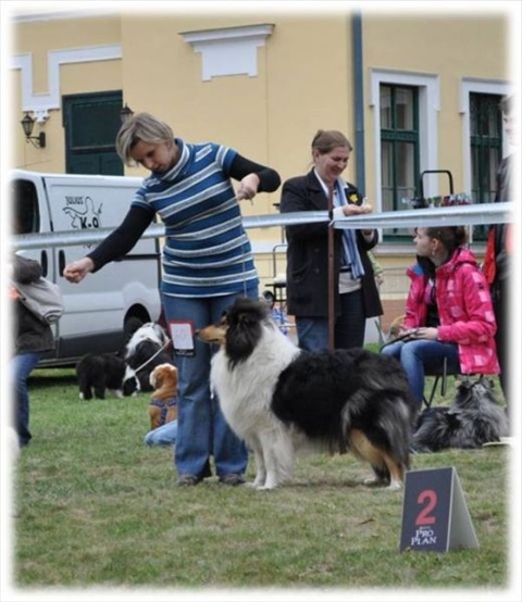 Obrázok11.jpg