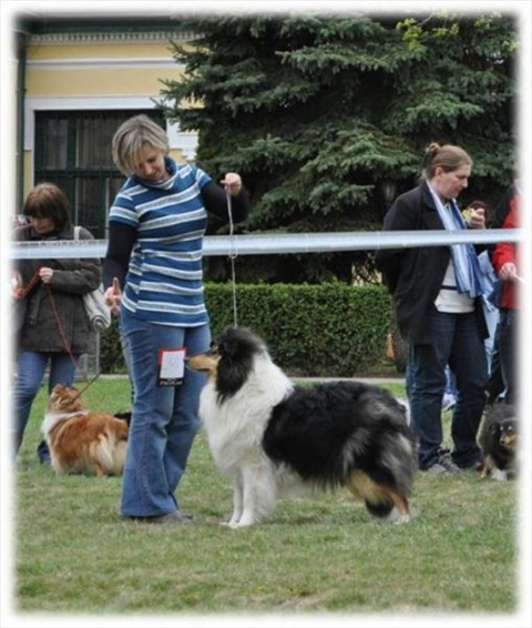 Obrázok15.jpg