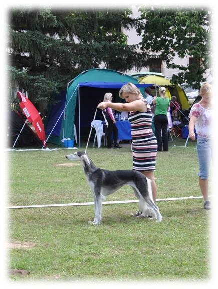 Obrázok3.jpg