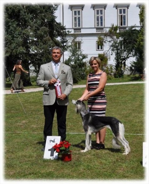 Obrázok2.jpg