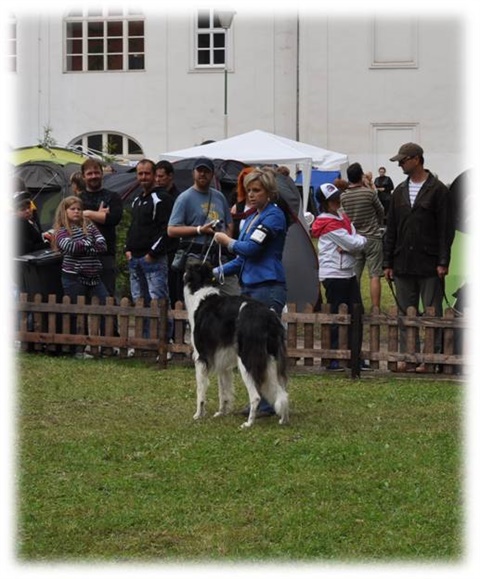 Obrázok1.jpg