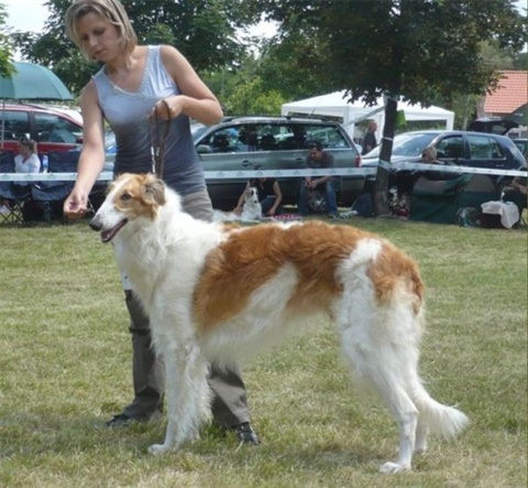 Obrázok 605.jpg