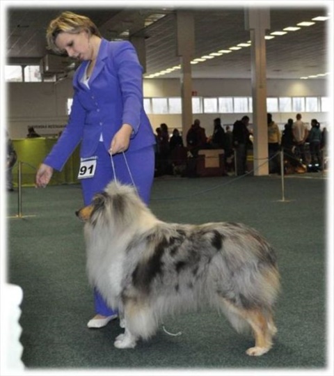 Obrázok32.jpg