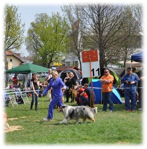 Obrázok9.jpg