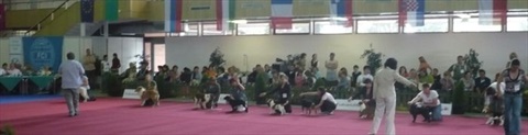 Obrázok 014.jpg