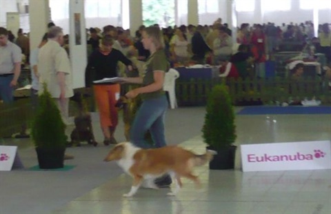 Obrázok 004.jpg