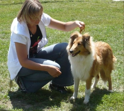 Obrázok 034.jpg