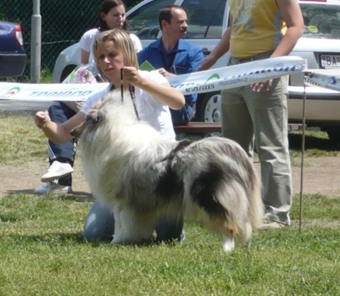 Obrázok 040.jpg