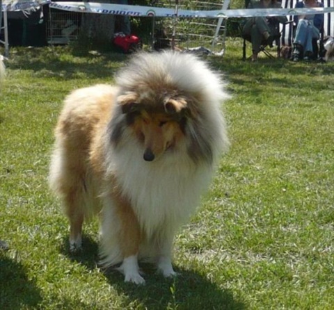 Obrázok 060.jpg