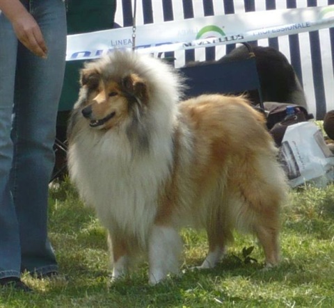 Obrázok 075.jpg