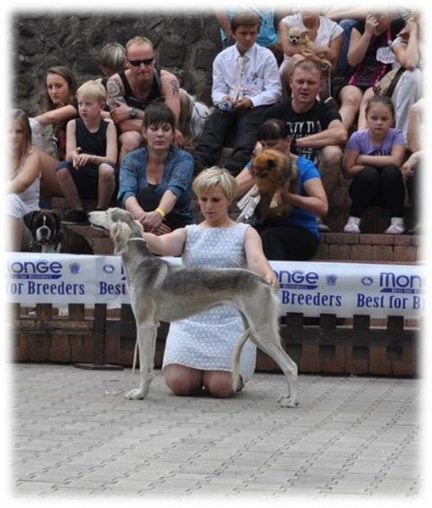 Obrázok16.jpg