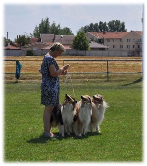 Obrázok14.jpg