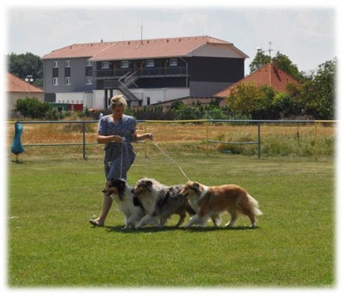 Obrázok16.jpg