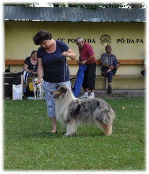Obrázok30.jpg