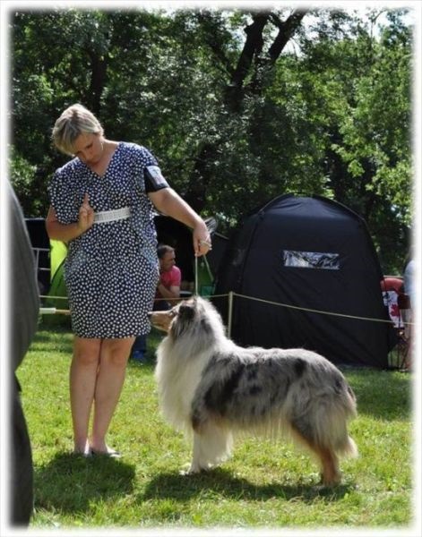 Obrázok4.jpg