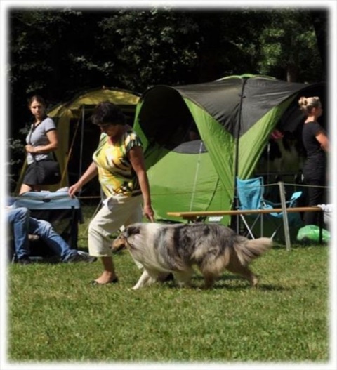 Obrázok3.jpg