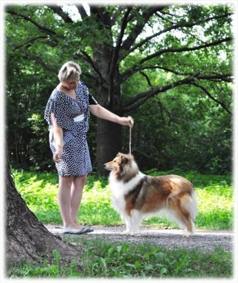 Obrázok10.jpg