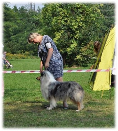 Obrázok33.jpg