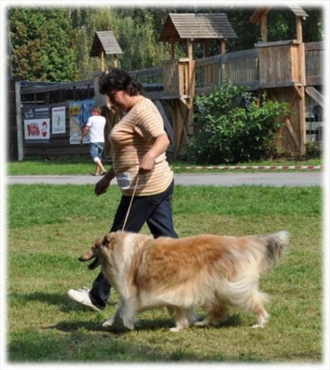 Obrázok37.jpg