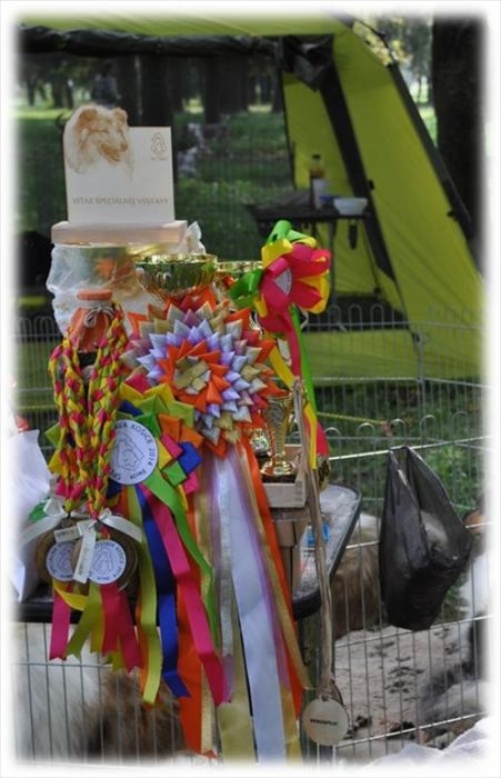 Obrázok55.jpg