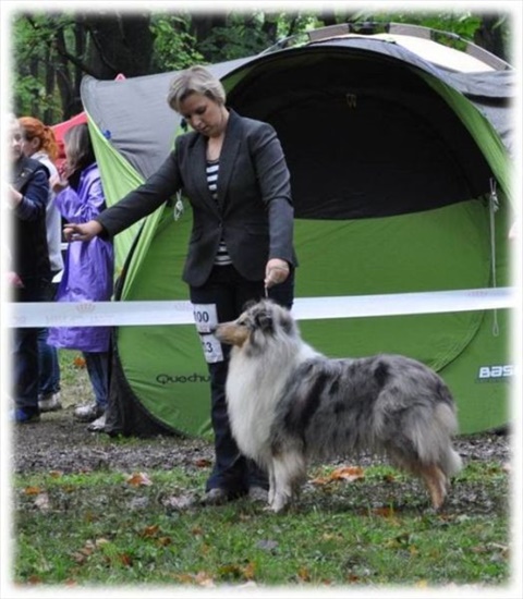 Obrázok14.jpg