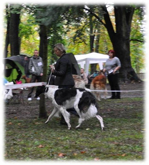 Obrázok20.jpg