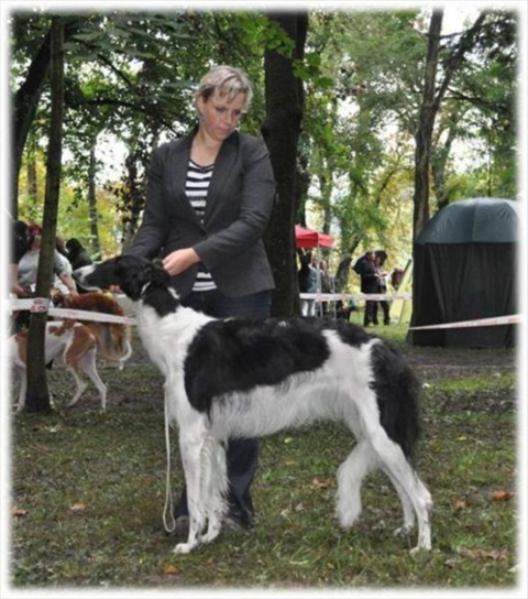 Obrázok21.jpg