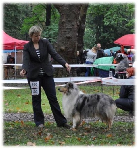 Obrázok17.jpg