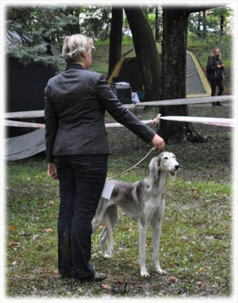 Obrázok25.jpg