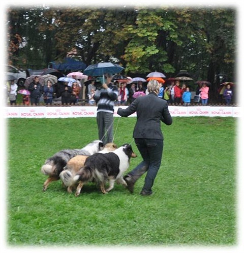 Obrázok28.jpg