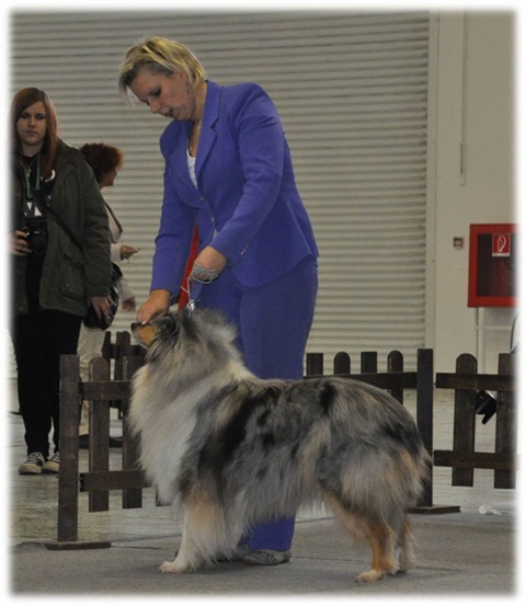 Obrázok17.jpg