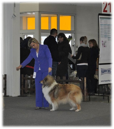 Obrázok4.jpg