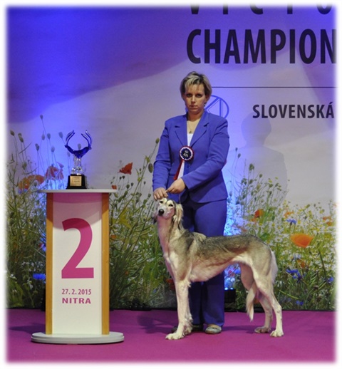 Obrázok1.jpg