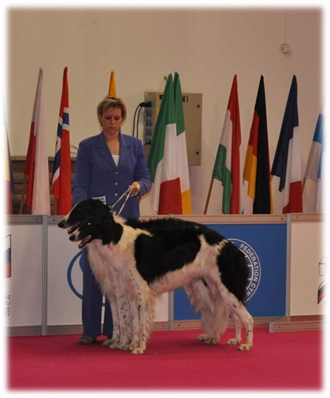 Obrázok20.jpg