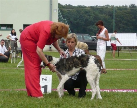 Obrázok 392.jpg