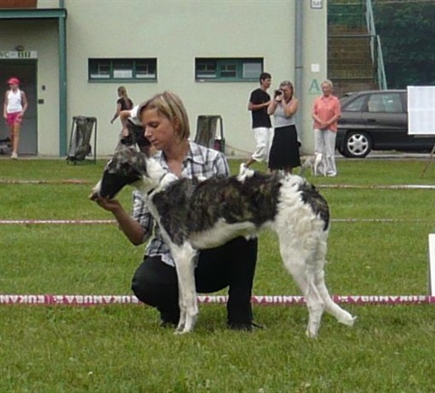 Obrázok 397.jpg