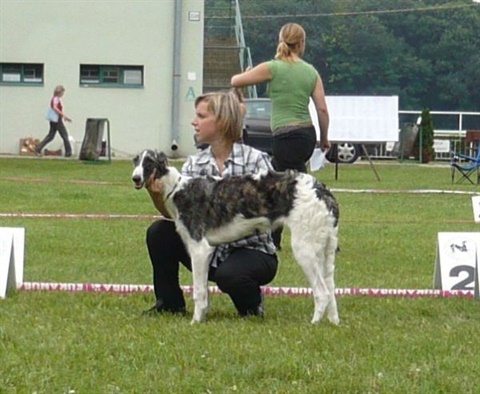 Obrázok 401.jpg